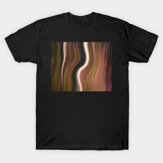 Forest Illusions- First Light T-Shirt by Whisperingpeaks